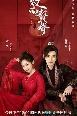 《双面赘婿第二季》：爆笑来袭，深度解析，看点全揭秘！