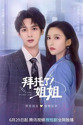 《拜托了！姐姐》：御姐的魅力与职场生存，谁说女性不能撑起一片天？