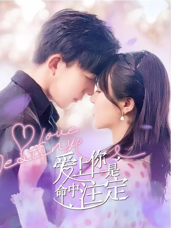 《爱上你是命中注定》：一场跨越时空的灵魂羁绊，爱是宇宙中最强大的定律