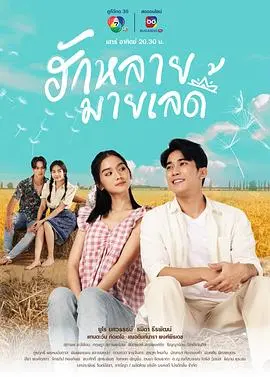 《亲爱的女士》：献给所有为爱坚守的女性，一部关于女性力量的温情史诗